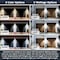 Luxrite Outdoor Dusk to Dawn LED Wall Pack 15/20/25W Up to 3000LM 3CCT 3000K-5000K IP65 Frosted, 2PK LR40616-2PK - alternate 8